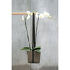 Mobile Blumenampel ›Pot Suspendu‹