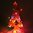 ›Papp-Weihnachtsbaum‹