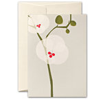Grußkarte ›Orchid‹