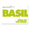 Bio-Saatgut ›basil king of the herbs‹ – Basilikum