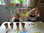 Bio-Saatgut ›basil king of the herbs‹ – Basilikum