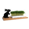 Kresseschale ›Hase‹