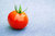 Bio-Saatgut ›red alert! tomato‹ – Tomate